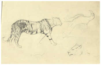 Visualizza l'immagine "FD D 1913 r."